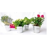 Produits Naturels