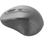 Souris